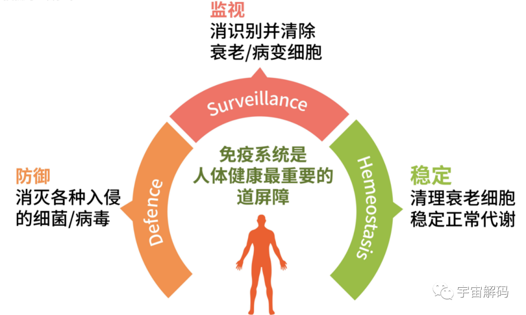 100年前的人类预测2023年：癌症被消除，人可以活到300岁