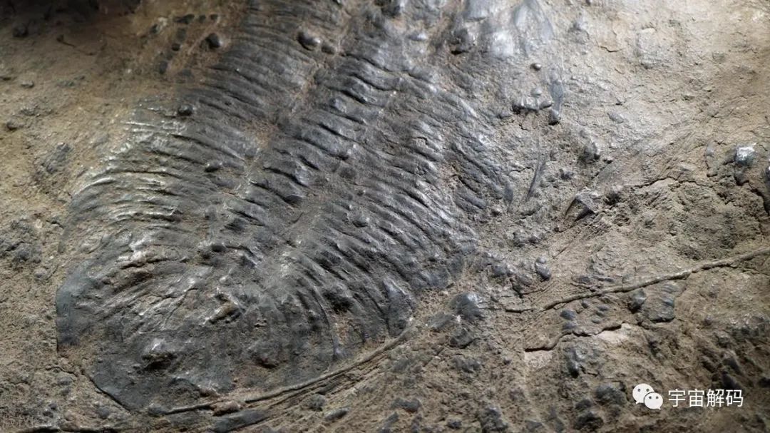 地球被精心设计过？1万年前的壁画，或许能够给出答案