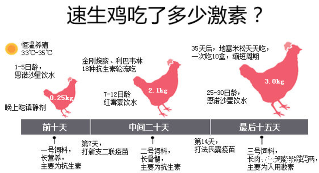 国内每年消耗200多亿只鸡爪，从何而来呢？