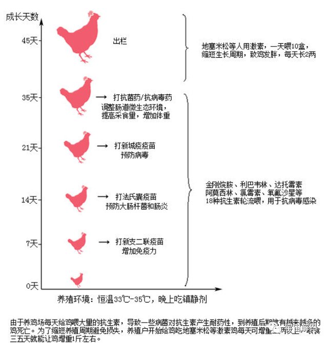 国内每年消耗200多亿只鸡爪，从何而来呢？