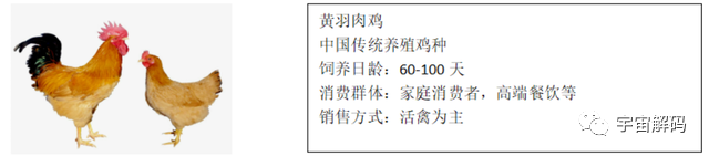国内每年消耗200多亿只鸡爪，从何而来呢？