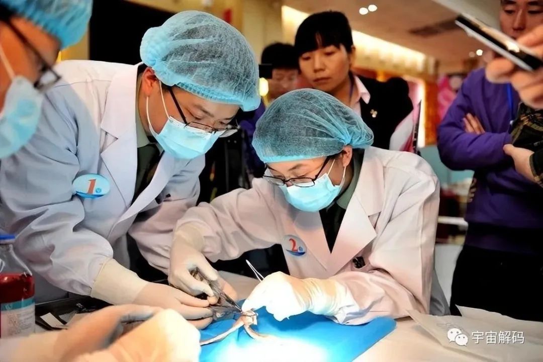 中国每年有60万医学生毕业，为何仅10万人能披上白大褂