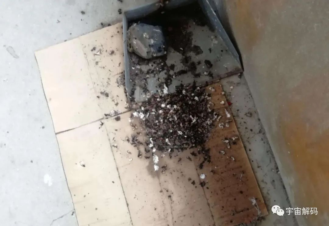 燕子并不会在每家的房檐下垒窝，它是如何判断呢？