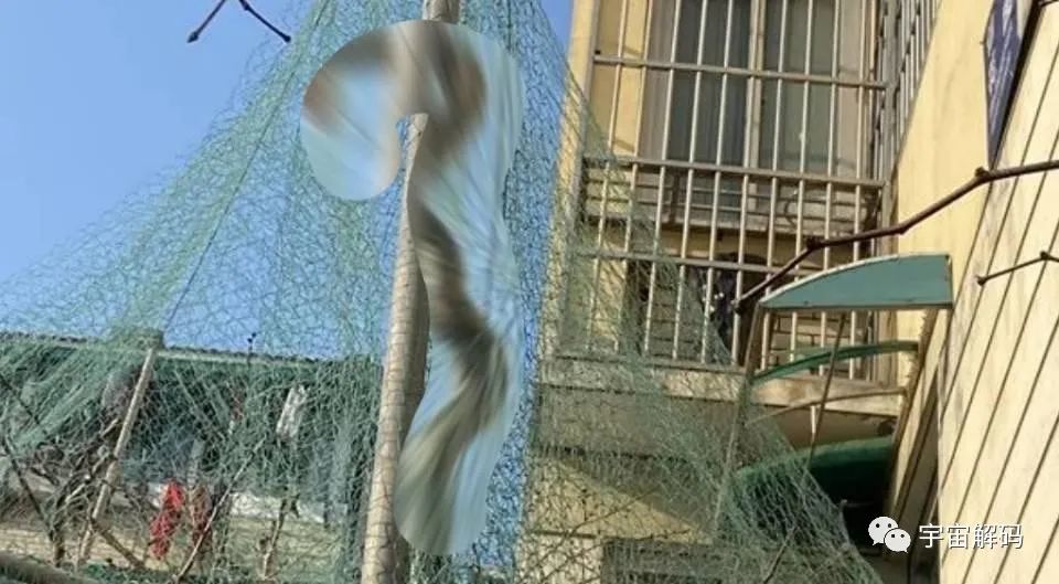 菜花蛇无毒，却号称"蛇中之王"？