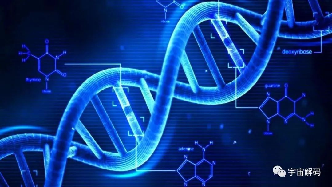 重新从底层设计蛋白质，科学家做到了，造出异形不再遥远