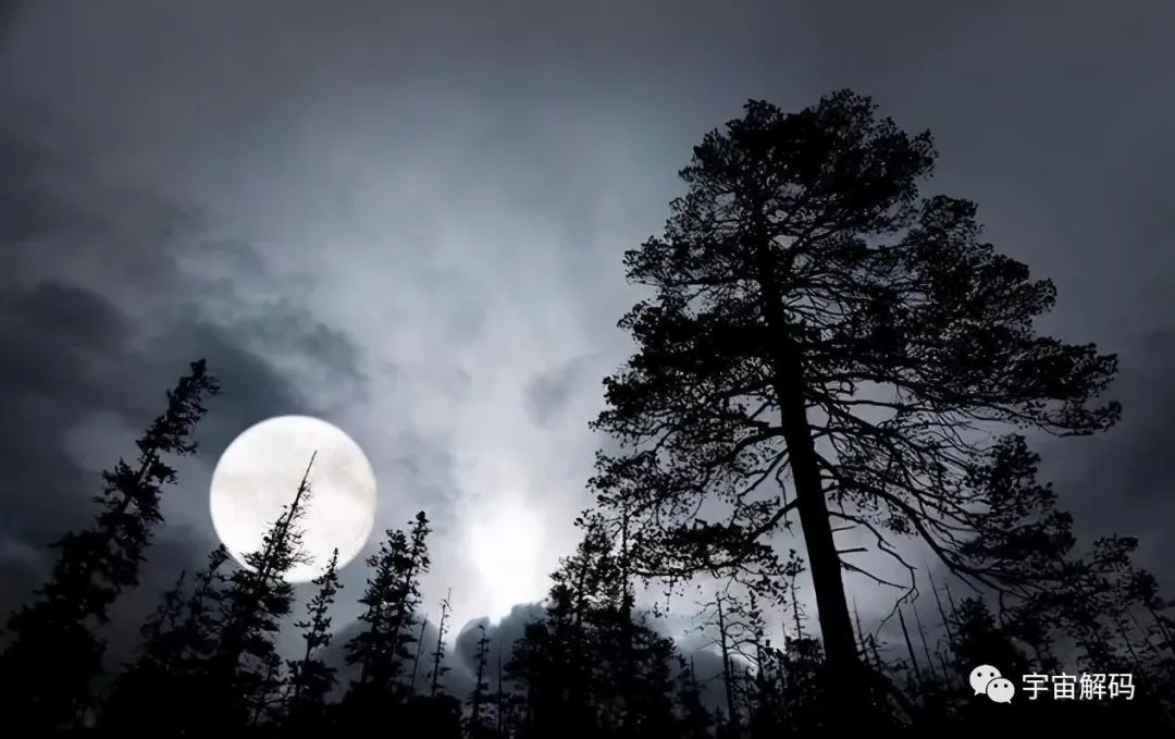 为什么发现了UFO，外星人却没出现？让人细思极恐的猜想