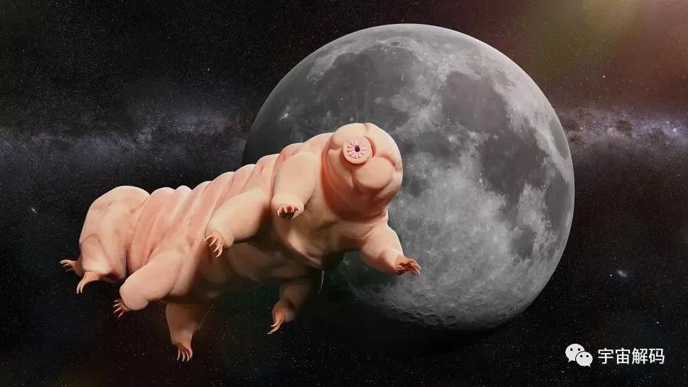 《三体》中的人体脱水技术，真的可以实现吗？地球就有这种生物