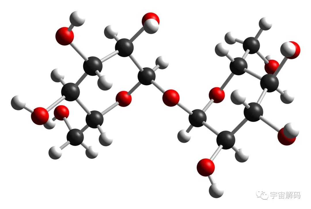 《三体》中的人体脱水技术，真的可以实现吗？地球就有这种生物