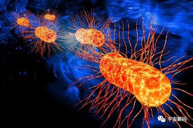 为什么找不到外星人？它们存在的方式或超乎想象，人类理解不了