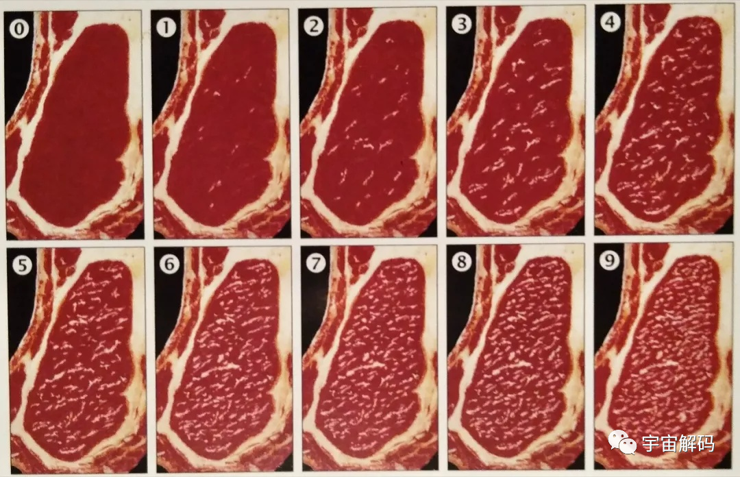 猪肉为何没有以前的好吃了？