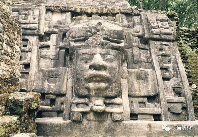 灭绝多年的古代动物，为何却又“复活”？难道玛雅预言成真了？