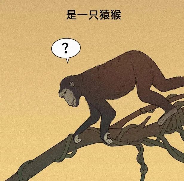 人是猴变的，那猴是啥变的，再往前呢？我们逆推到137亿年前看看！