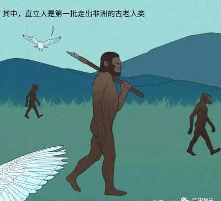人是猴变的，那猴是啥变的，再往前呢？我们逆推到137亿年前看看！