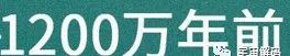 人是猴变的，那猴是啥变的，再往前呢？我们逆推到137亿年前看看！