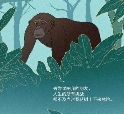人是猴变的，那猴是啥变的，再往前呢？我们逆推到137亿年前看看！