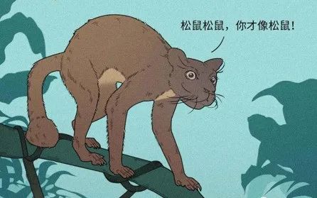 人是猴变的，那猴是啥变的，再往前呢？我们逆推到137亿年前看看！