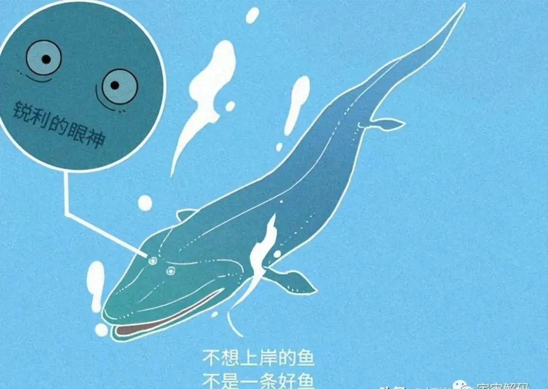 人是猴变的，那猴是啥变的，再往前呢？我们逆推到137亿年前看看！