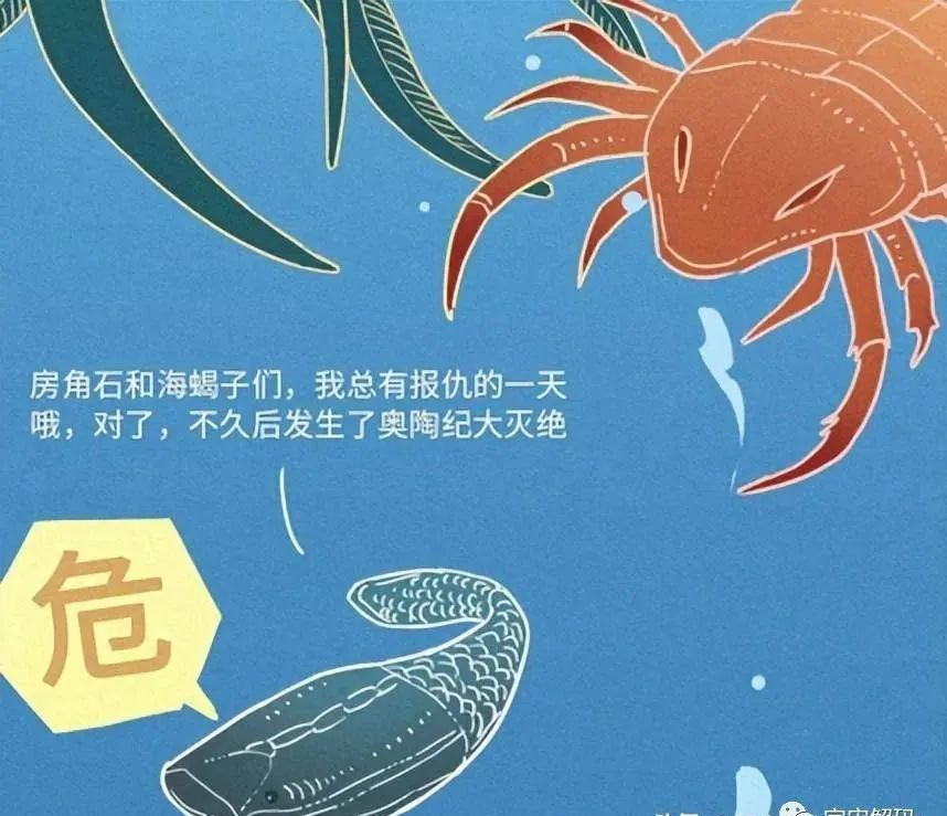 人是猴变的，那猴是啥变的，再往前呢？我们逆推到137亿年前看看！