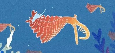 人是猴变的，那猴是啥变的，再往前呢？我们逆推到137亿年前看看！