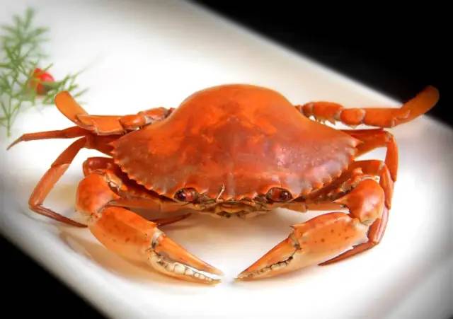 中国最好吃也是最贵的十大顶级食材