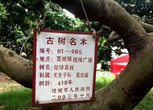 中国最好吃也是最贵的十大顶级食材