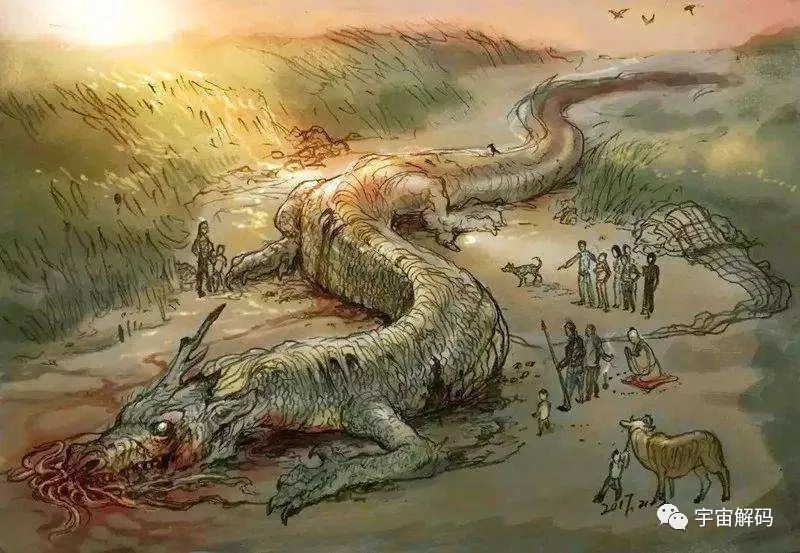 为什么十二生肖里会有龙这个不存在的物种，难道古时真的有龙这个生物吗？