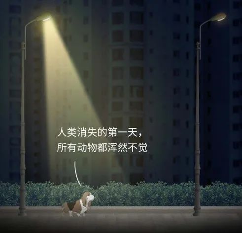 如果人类消失了，地球会发生什么改变？