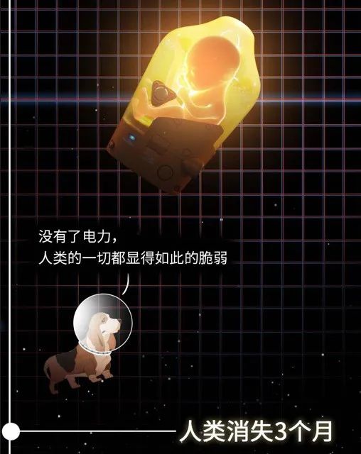 如果人类消失了，地球会发生什么改变？