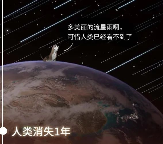 如果人类消失了，地球会发生什么改变？