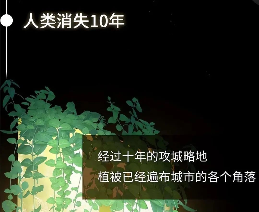 如果人类消失了，地球会发生什么改变？