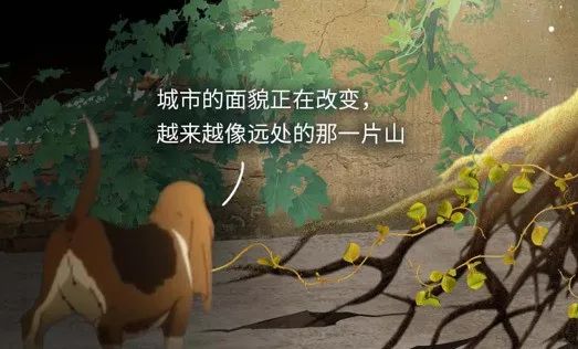 如果人类消失了，地球会发生什么改变？