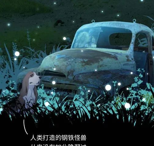 如果人类消失了，地球会发生什么改变？