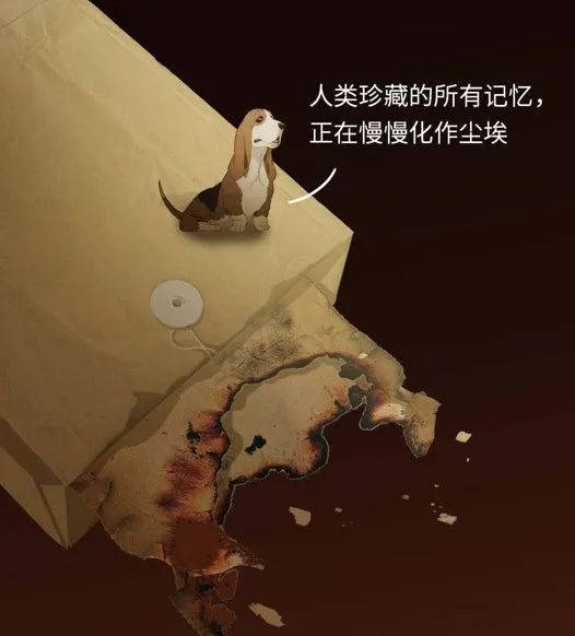 如果人类消失了，地球会发生什么改变？