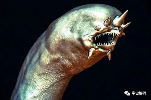 小小的微生物放大了竟然如此可怕——显微镜下的微型生物