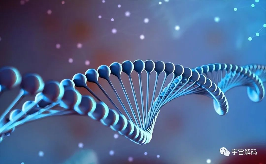 盘点6种近乎永生的生物，最后一个去头能活，不死之身真的存在？