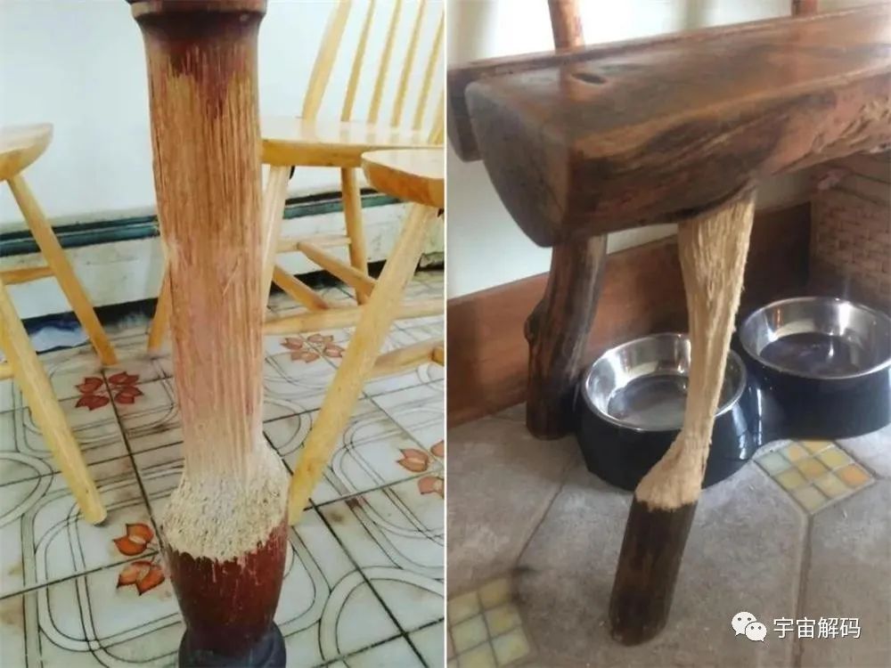 看完这组震撼的照片，才知道时间有多残酷…
