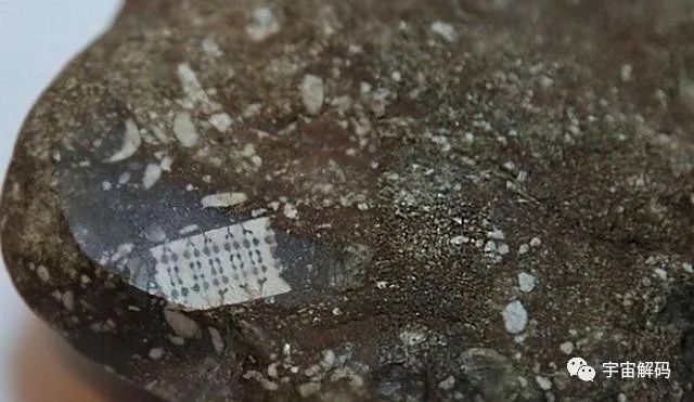 一颗“螺丝”镶嵌在石块中，距今3亿年？揭开一个史前的巅峰时代