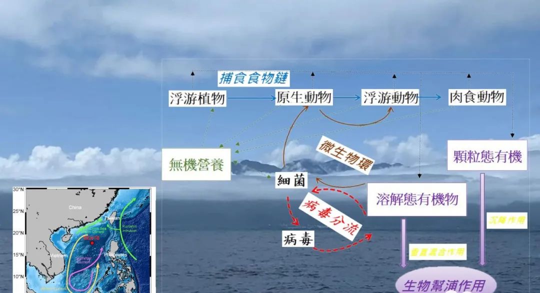 首次发现！科学家找到专吃病毒的生物