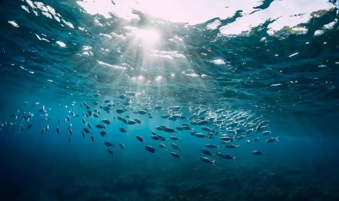 太阳系最有可能存在外星生物的五个地方