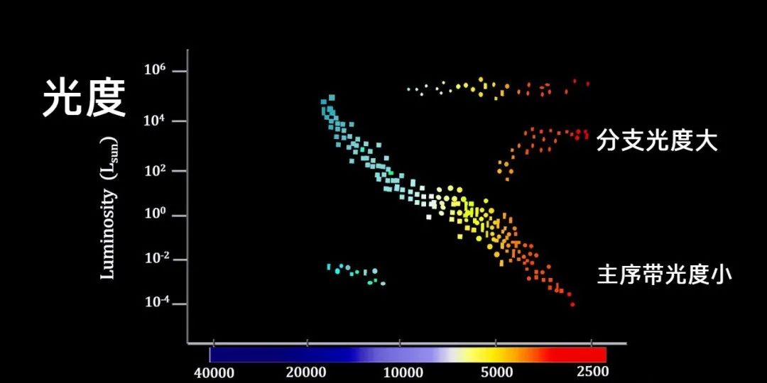 一幅图看尽恒星一生！天文史上一个很重要的发现：赫罗图