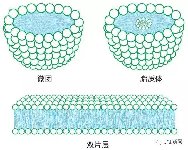 平行宇宙中的“9层宇宙”到底是什么？