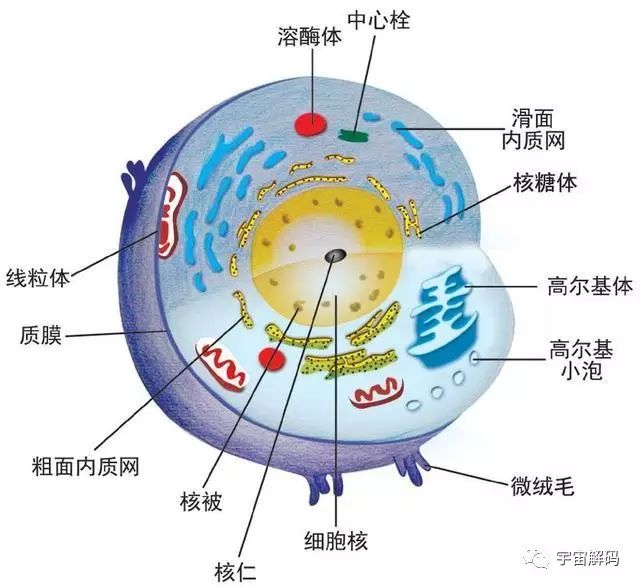 平行宇宙中的“9层宇宙”到底是什么？