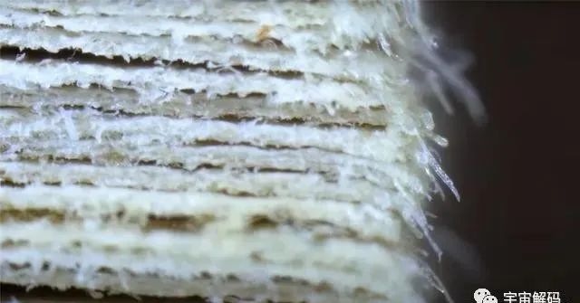 细胞、细胞核、DNA、染色体傻傻分不清？一张图搞明白