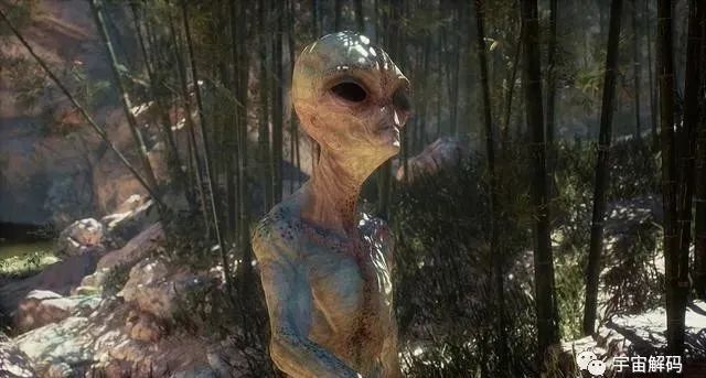 外星食肉者：探索外星生命如何以其他生物为食来获取能量