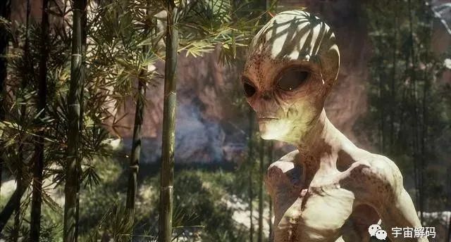 外星食肉者：探索外星生命如何以其他生物为食来获取能量