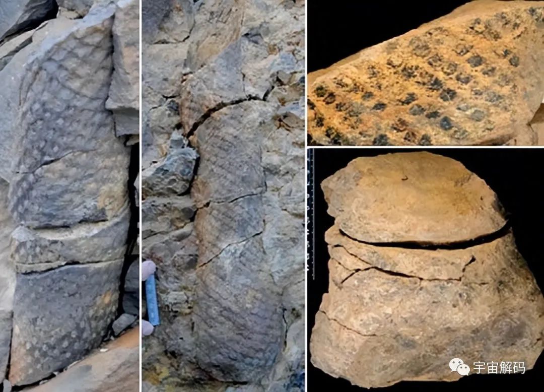 10000年前的化石中，居然发现近代物品？