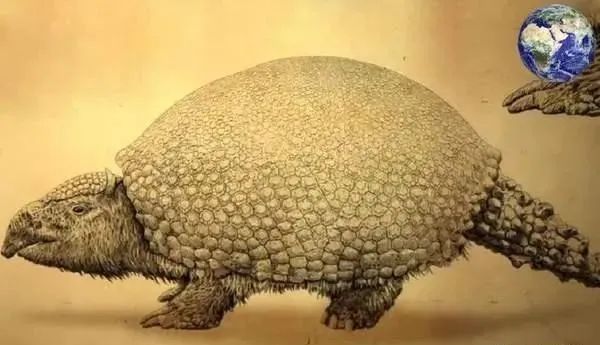 盘点你没听过的几种史前生物！