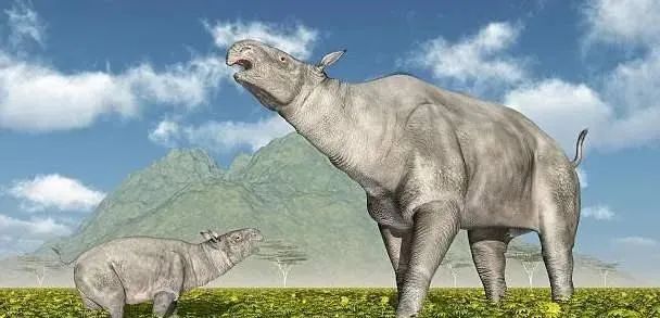 盘点你没听过的几种史前生物！