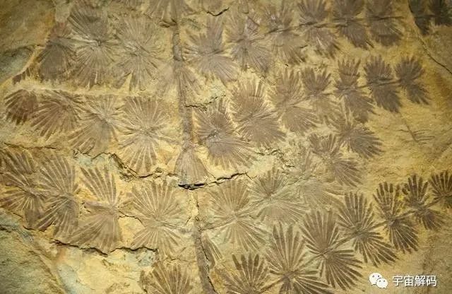 持续了整整200年的大雨，卡尼期洪积事件到底有多恐怖？