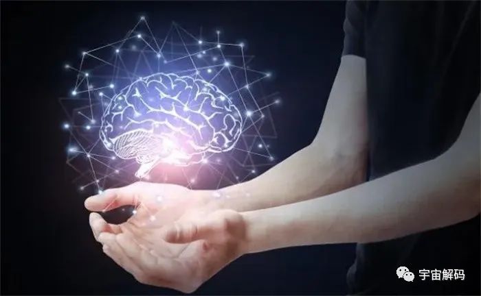 大脑是如何提取记忆的？你希望能永远拥有记忆吗？